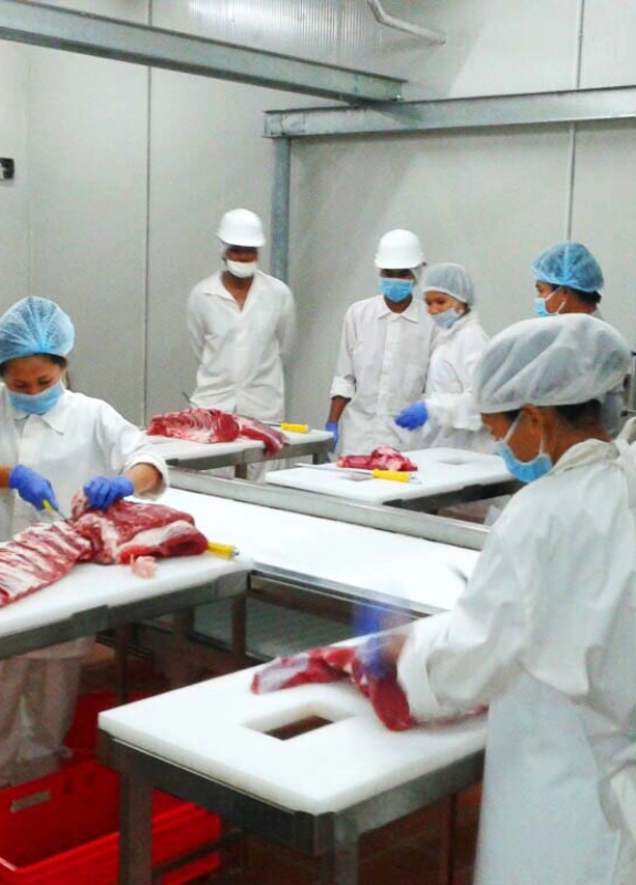 abattoir equipment manufacturers