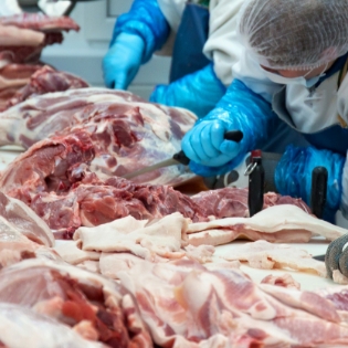 cattle cutting, deboning and trimming process in a slaughterhouse