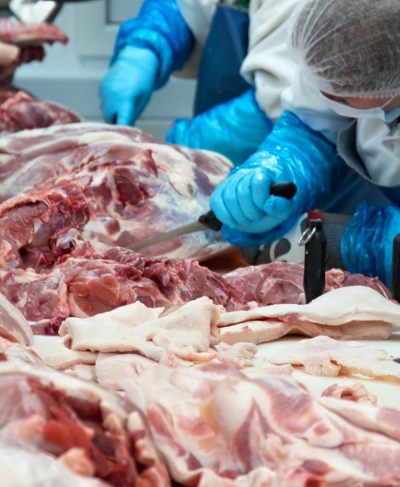 cattle cutting, deboning and trimming process in a slaughterhouse